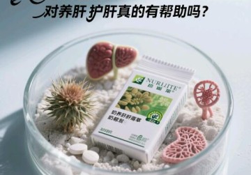 纽崔莱奶蓟草片对养肝护肝真的有帮助吗？详细为你揭秘