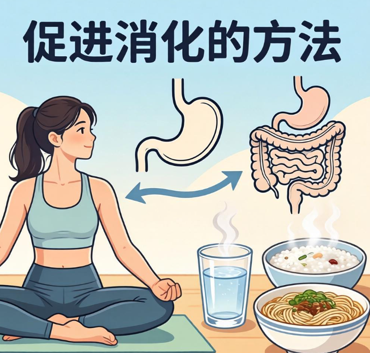 女生必看！6个温和促消化方法，告别腹胀积食，养出轻盈体态