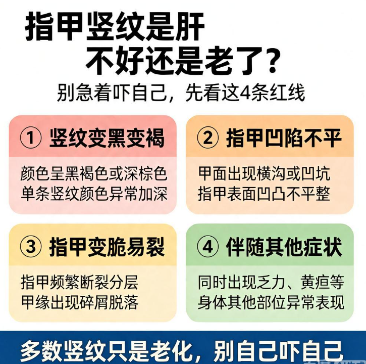 指甲竖纹是肝不好还是老了？别急着吓自己，先看这4条红线